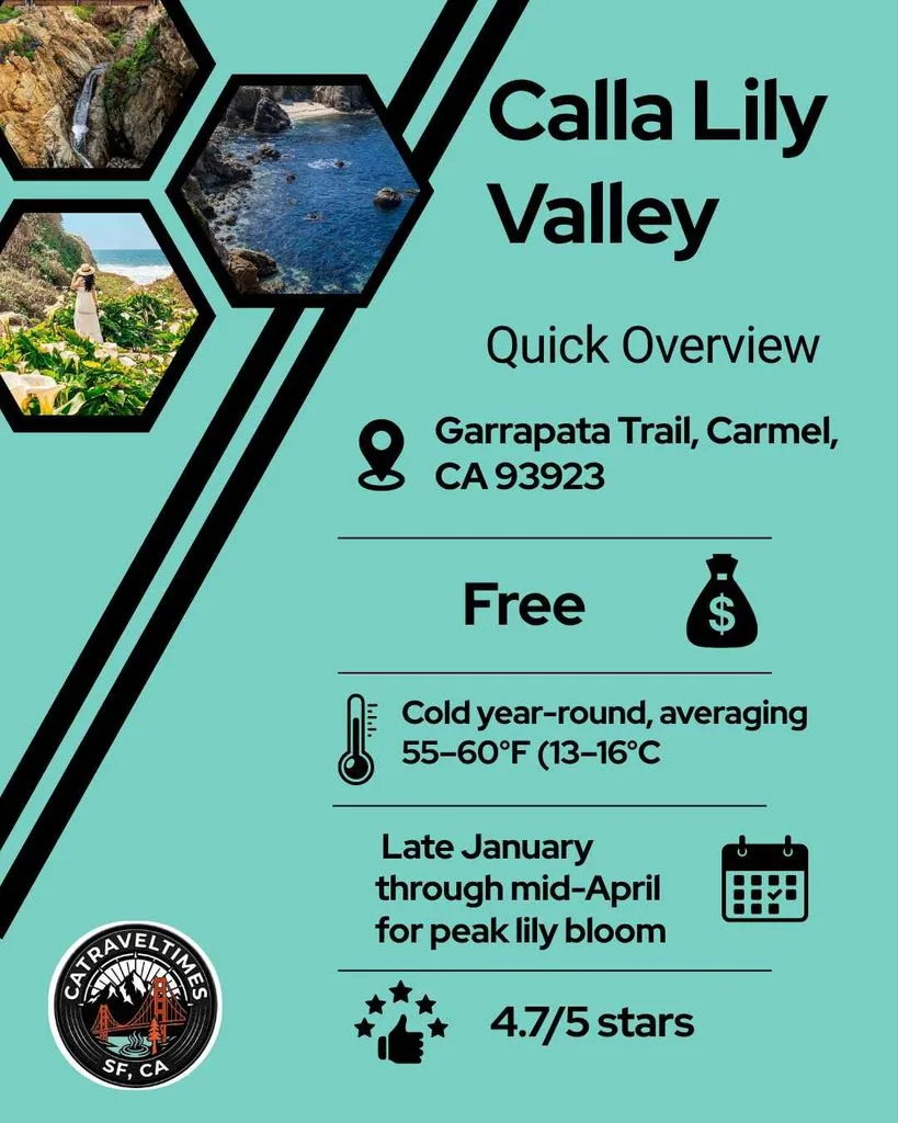 Calla Lily Valley: Quick detail