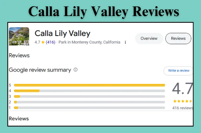 Calla Lily Valley: Reviews