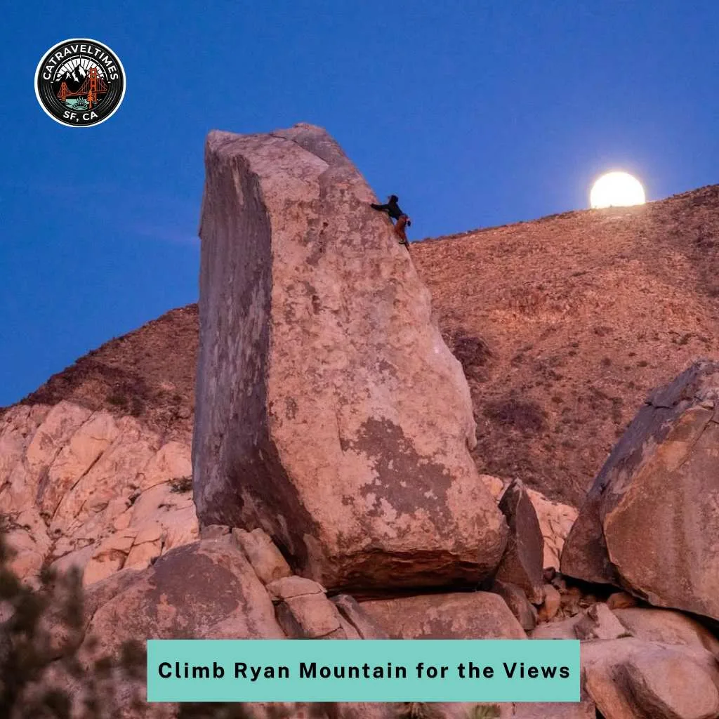 Climb Ryan Mountain for the Views