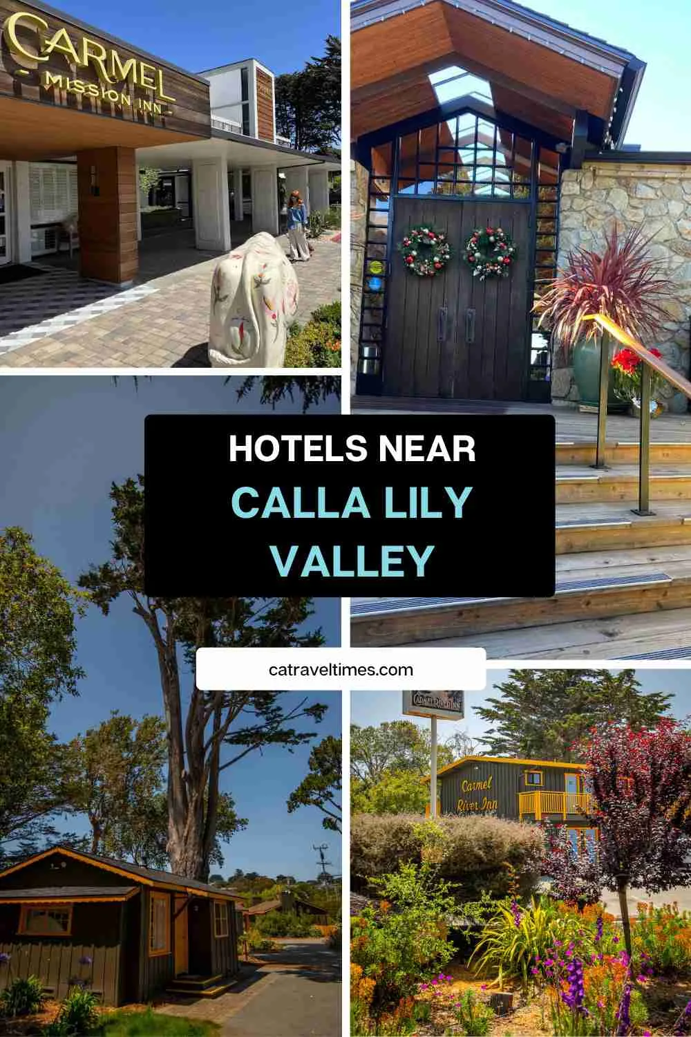Hotels Near Calla Lily Valley