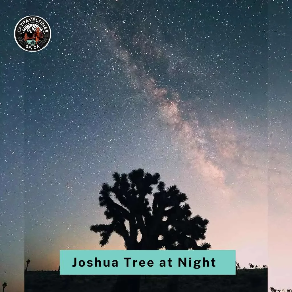 Things to Do in Joshua Tree at Night