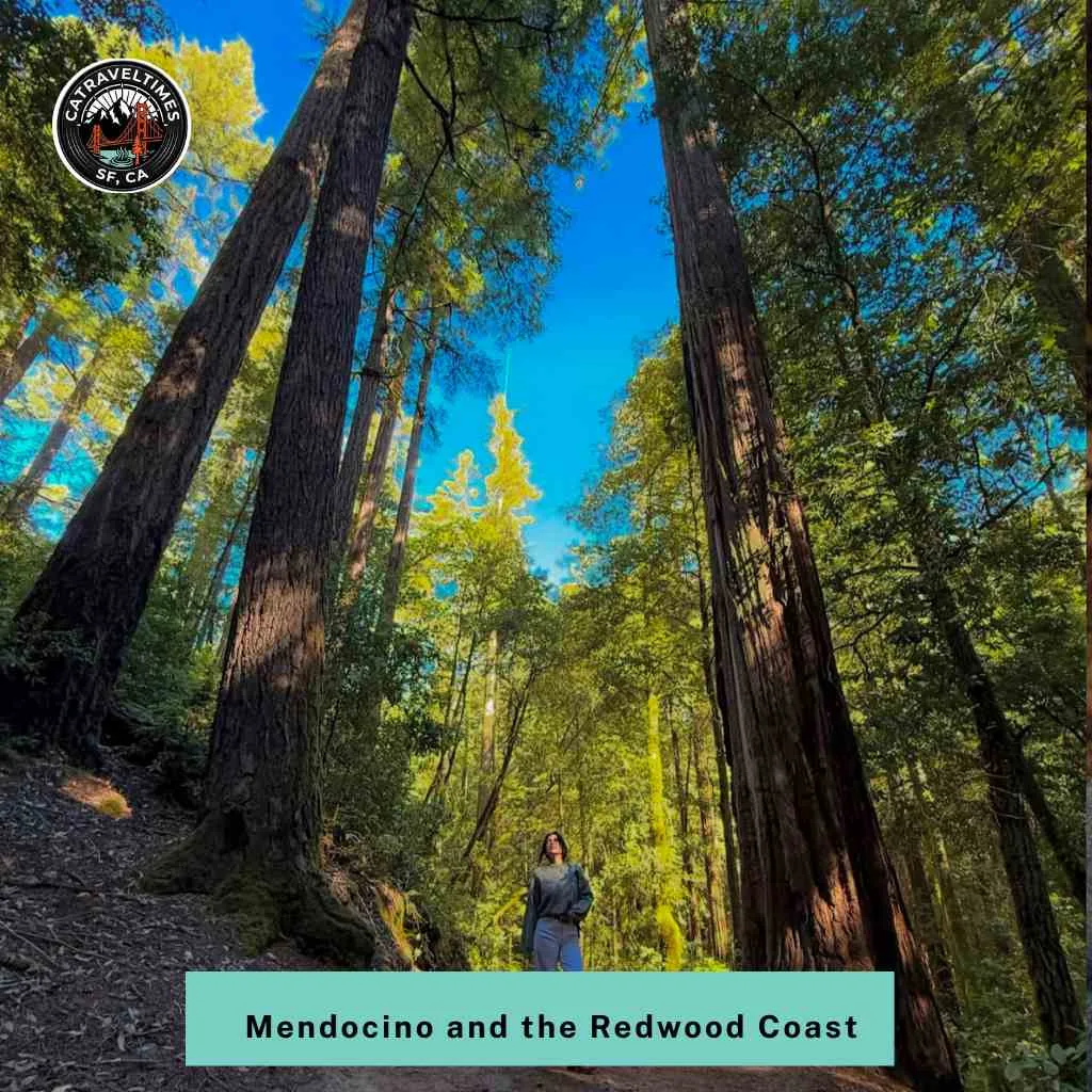 12 Best Romantic Getaways in California: The Ultimate Guide for Couples 3 Mendocino and the Redwood Coast