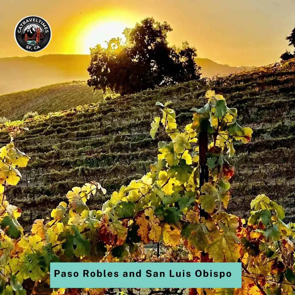 12 Best Romantic Getaways in California: The Ultimate Guide for Couples 8 Paso Robles and San Luis Obispo