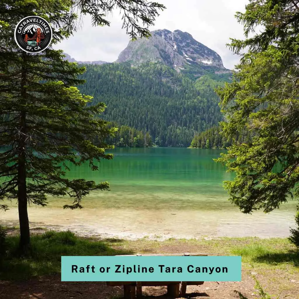 10 Things to Do in Montenegro: A Local Traveler Guide 2026 5 Raft or Zipline Tara Canyon