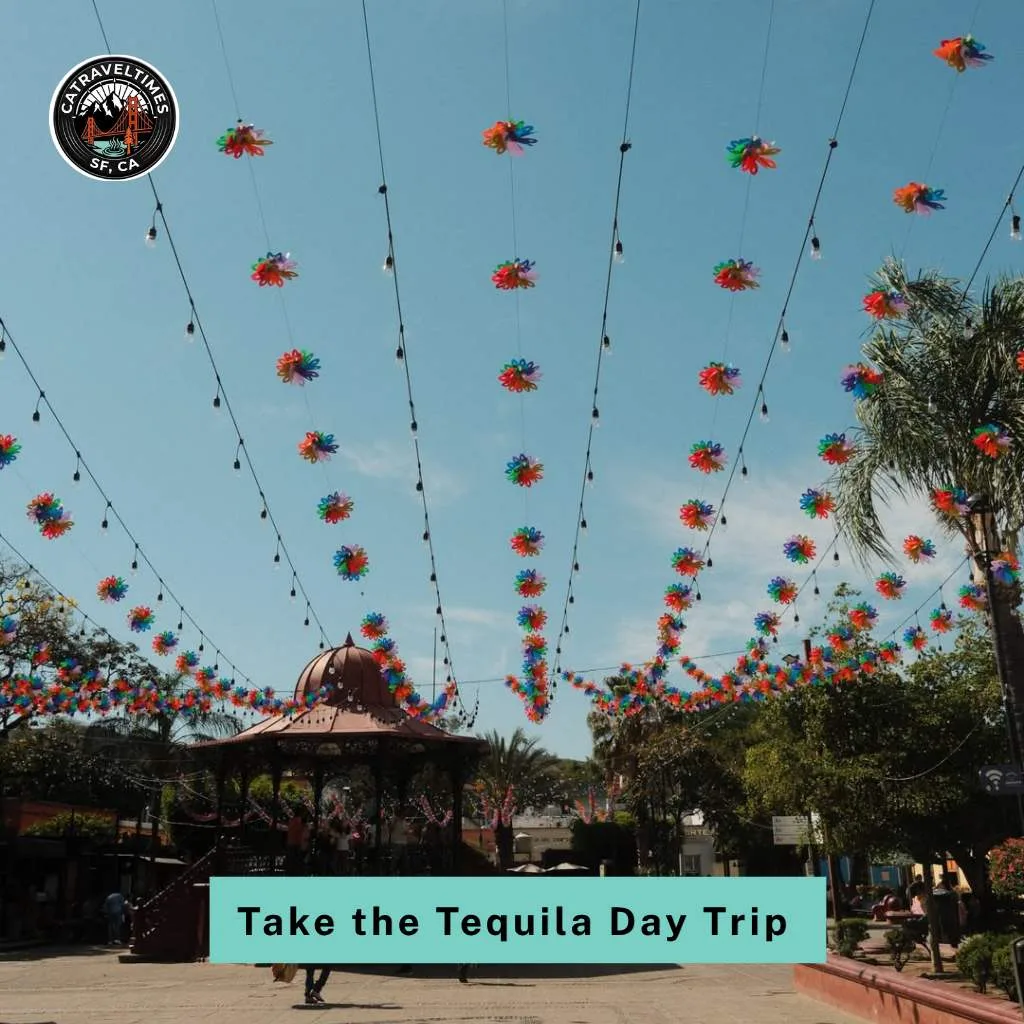 10 Things to Do in Guadalajara: Complete Guide 2026 9 Take the Tequila Day Trip