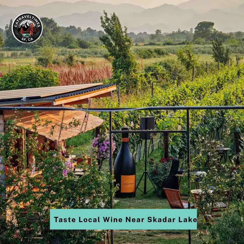 10 Things to Do in Montenegro: A Local Traveler Guide 2026 10 Taste Local Wine Near Skadar Lake compressed