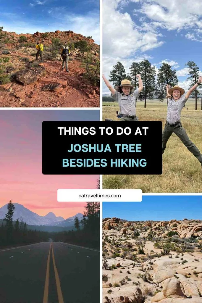 Things to Do in Joshua Tree Besides Hiking
