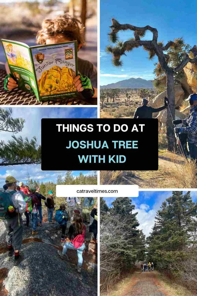 Things to Do in Joshua Tree with Kids