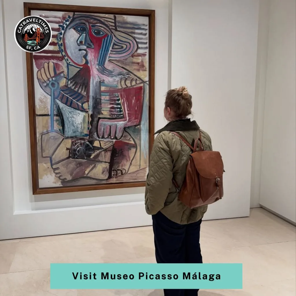 Visit Museo Picasso Málaga