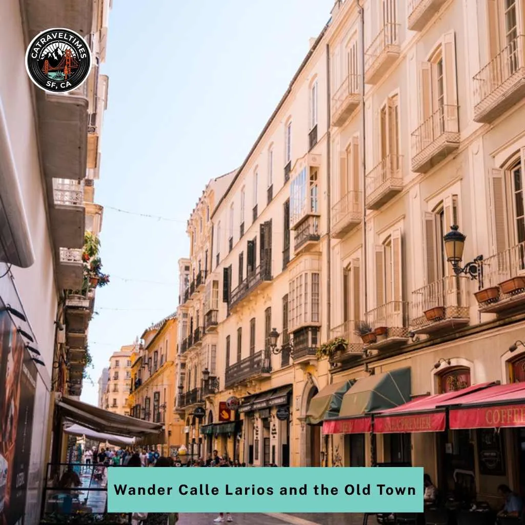 Wander Calle Larios and the Old Town